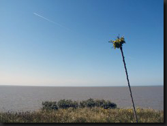 Embouchure de la Gironde